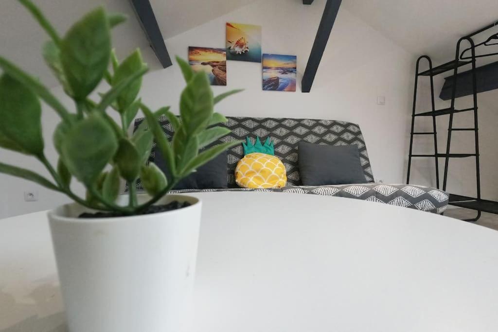 Apartmán Atypique T1 Duplex - Wifi .Parking .Proche .Gare Saint-Quentin  Exteriér fotografie